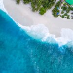 bird's eye-view photography beach