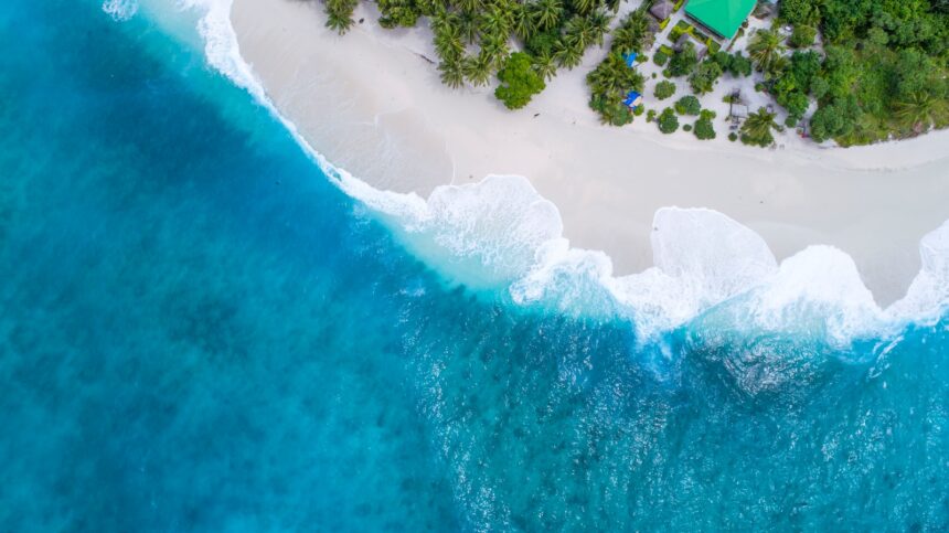 bird's eye-view photography beach